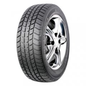 GT Radial Champiro WT-55